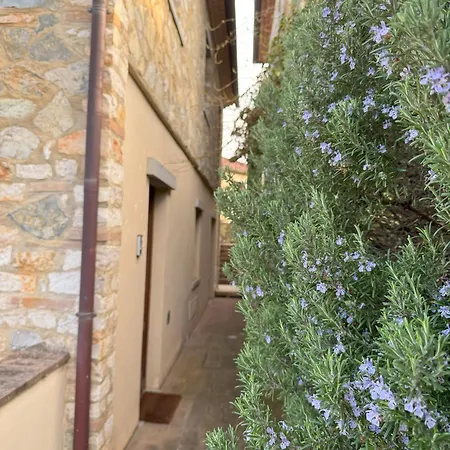 شقة Borgo Di Gaiole - Casa Lorenzo - With A View & Travel Guide غايولي إن كيانتي